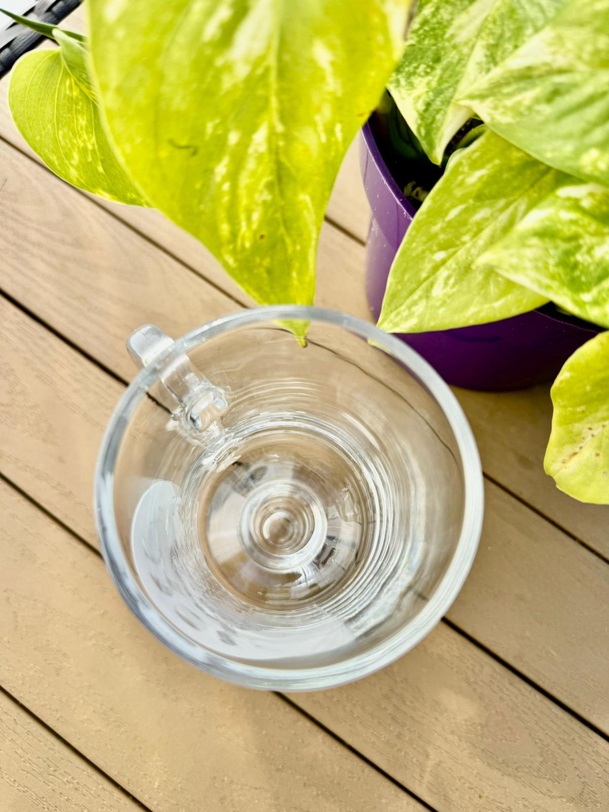 Hongo Mágico | Taza de cristal con dije de cristal.