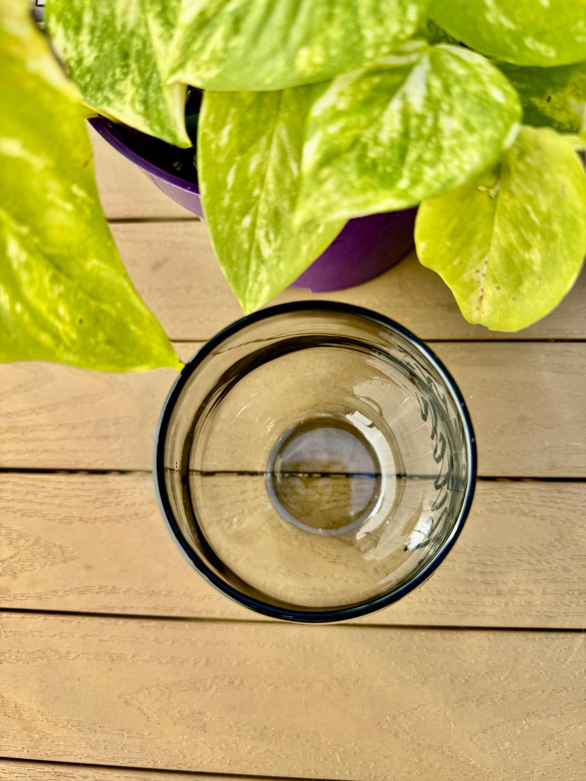 Perra espeluznante | Copa de vino ahumado sin tallo